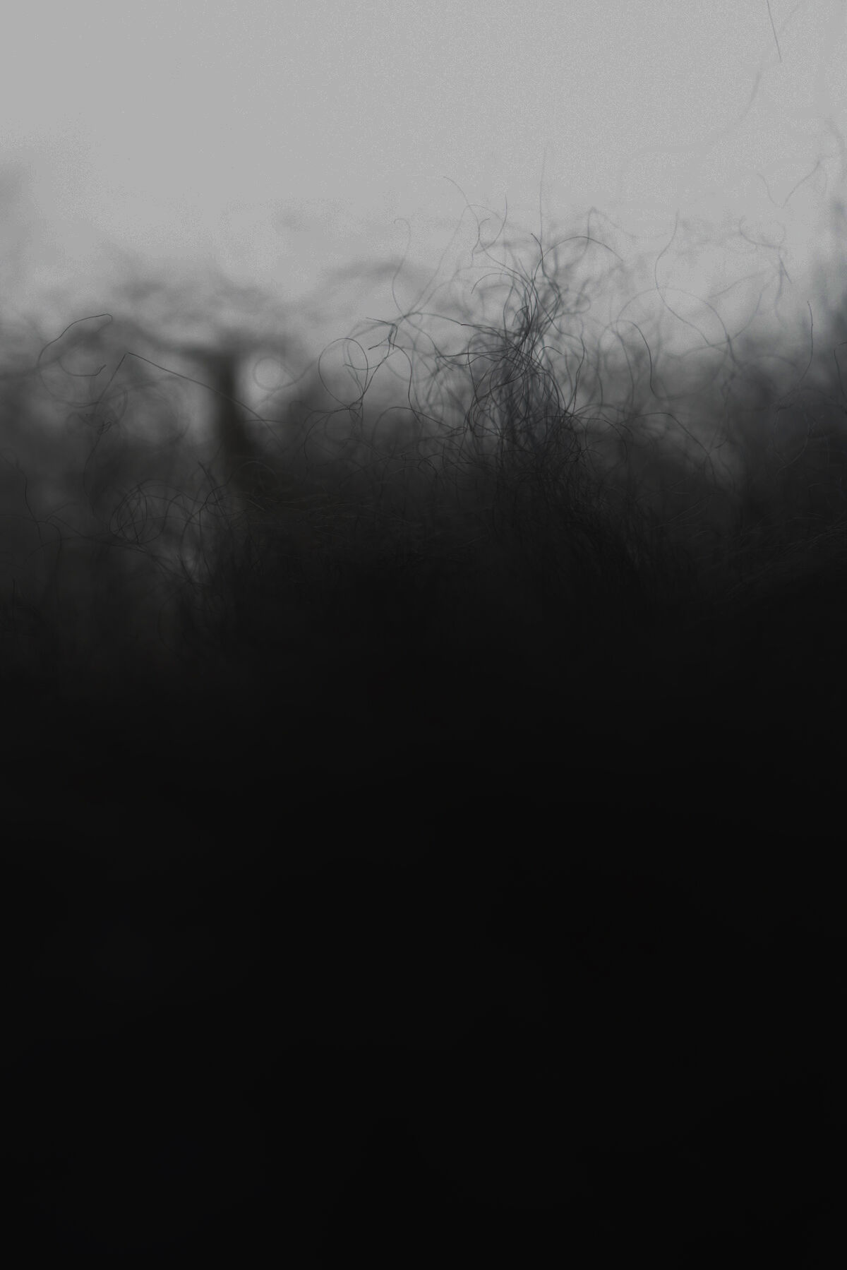 23 11 27 Filippa K 814 (3)